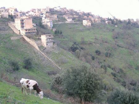 Ait ali ouharzoune